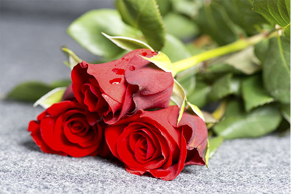 Rosas rojas en funeraria